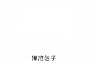 夜市烟火气对决场次记录画面