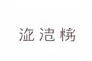 屋顶晾衣绳作品封面